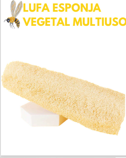 LUFFA ENTERA ( esponja vegetal)