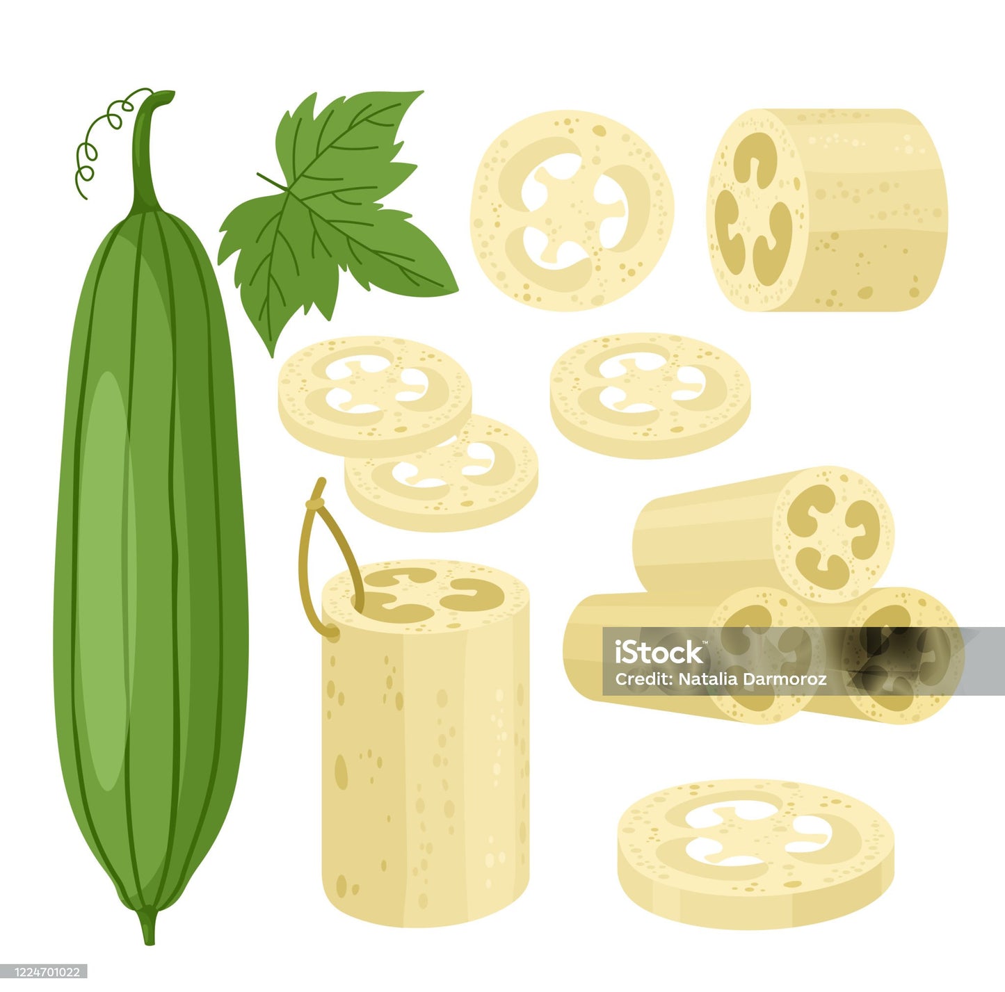 ESPONJA NATURAL DE LUFFA (VEGETAL)